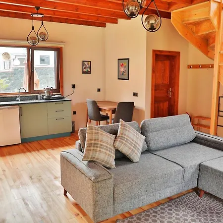 فيلة Lal Hayal Konaklari